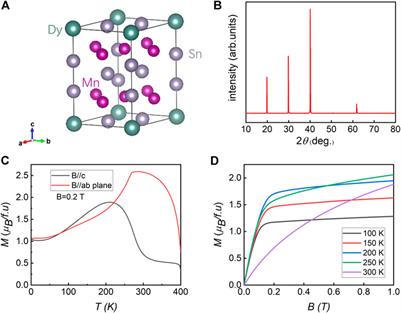 Magnetic Domain Structure in Ferromagnetic Kagome Metal DyMn6Sn6